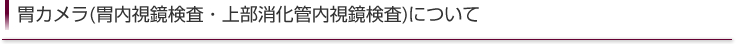 見出し・タイトル